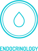 https://devsito.numeplus.it/wp-content/uploads/2021/05/endocrinology.png