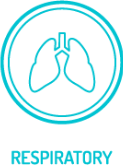 https://devsito.numeplus.it/wp-content/uploads/2021/05/respiratory.png