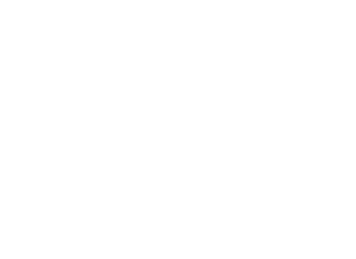 https://devsito.numeplus.it/wp-content/uploads/2021/07/screen_numeLogo_ridotto_bianco.png