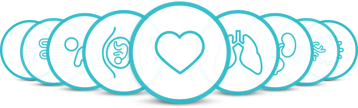 https://devsito.numeplus.it/wp-content/uploads/2021/10/specialities.png