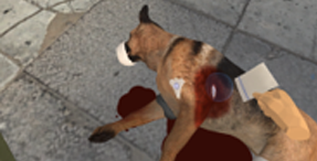 https://devsito.numeplus.it/wp-content/uploads/2023/04/bottom_img04.png