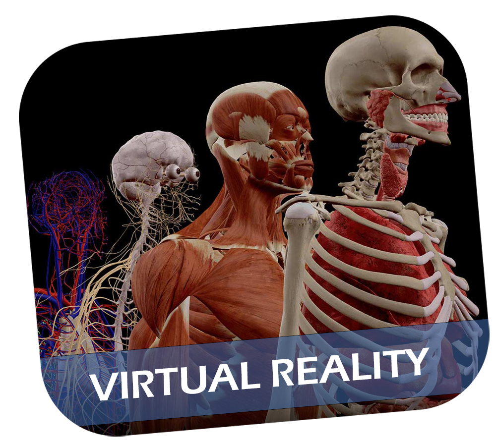 slider_home_virtual_reality